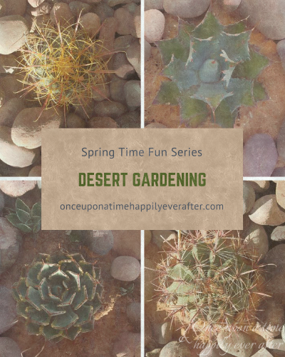 TBB Spring Time Fun Series: Desert Gardening, 5.15.2017