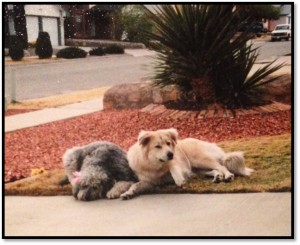 onceuponatimehappilyeverafter.com