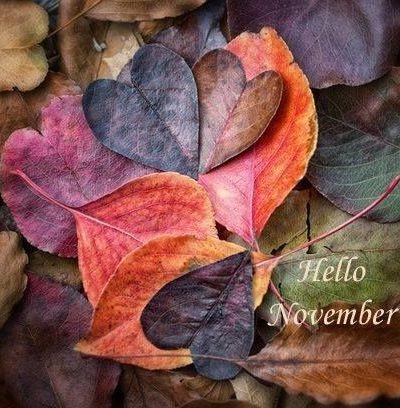 HELLO, November…