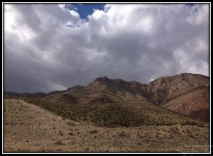 McKelligon Canyon walks on Sundays.