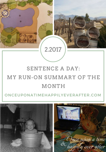 Sentence a Day, 2.2017