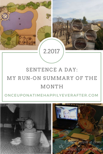 Sentence a Day, 2.2017
