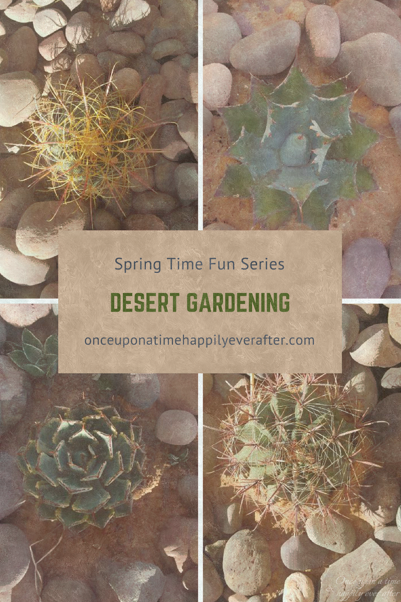 Desert gardening, 5.15.2017
