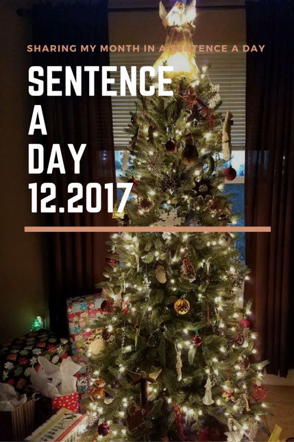 Sentence a Day, 12.2017