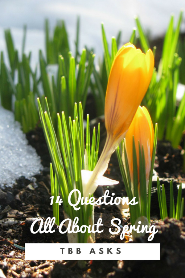 14 Questions About All Things Spring: TBB Asks