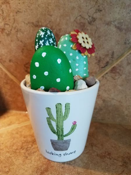 DIM, Did It Myself: Painted Rock Cactus Garden