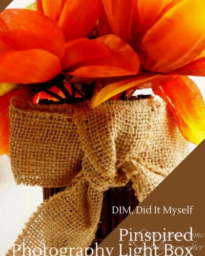 DIM, Did It Myself: Pinspired Photography Light Box