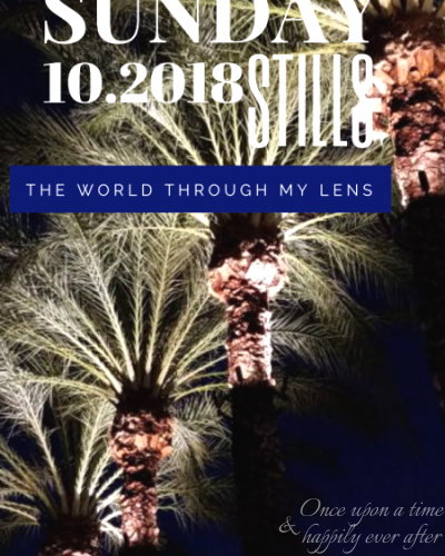 The World Through My Lens, 10.14.2018
