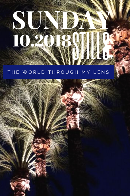 The World Through My Lens, 10.2018