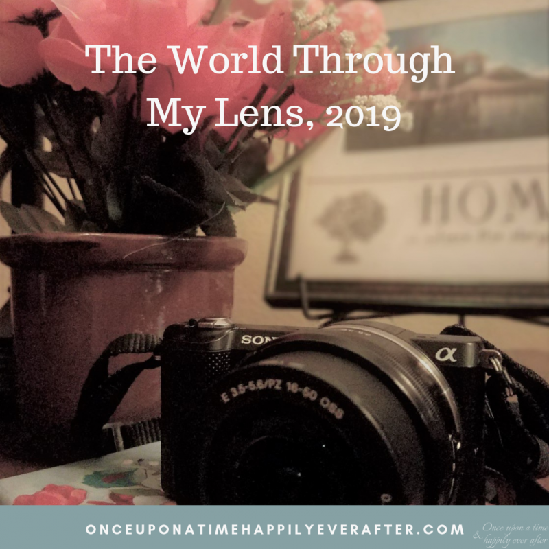 The World Through My Lens, 02.2019