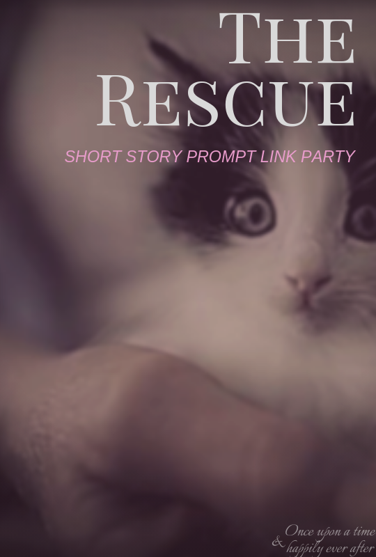 The Rescue:  Short Story Prompt, 02.07.2019