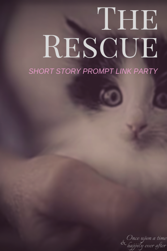 The Rescue: Short Story Prompt, 02.07.2019