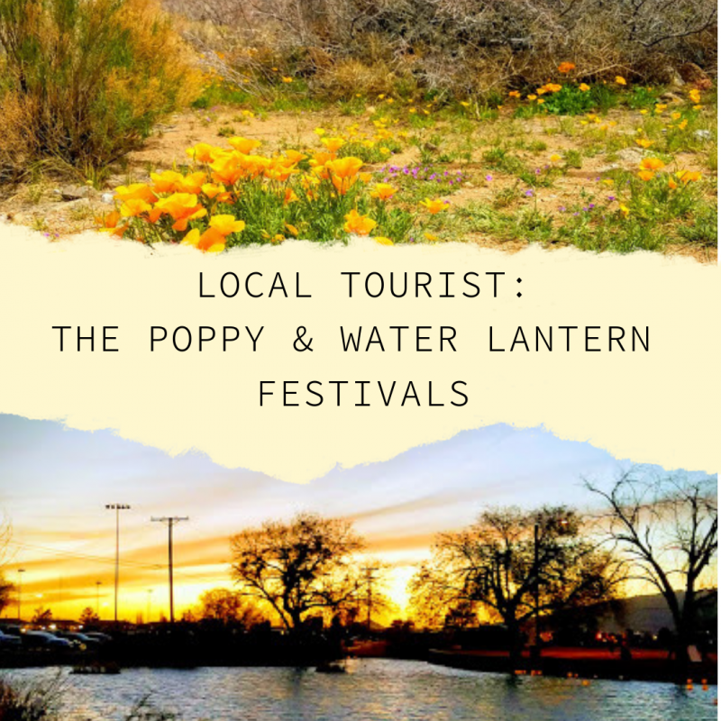 Local Tourist:  The Poppy & Water Lantern Festivals
