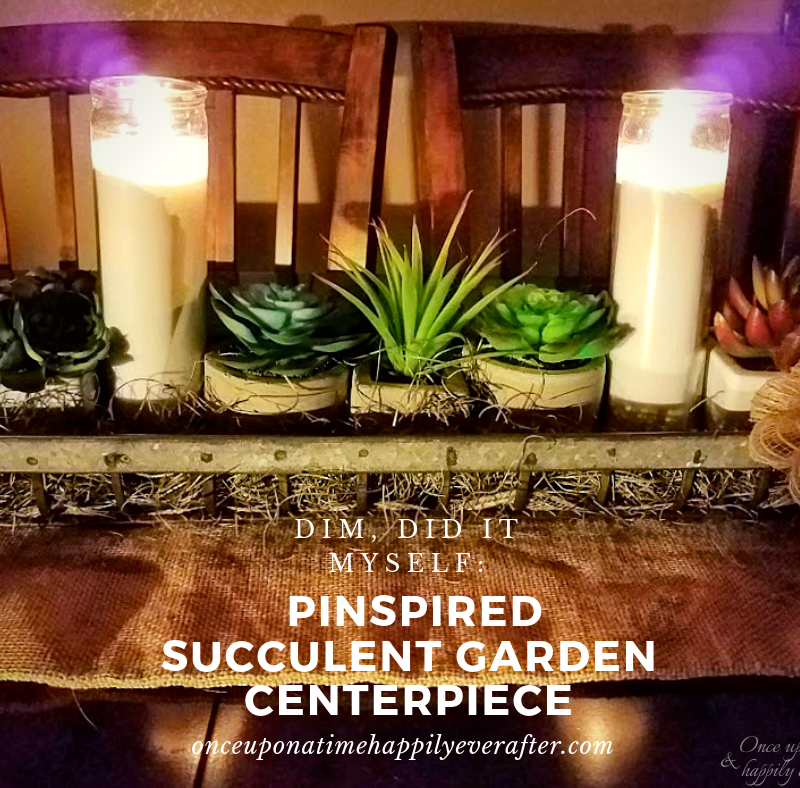 DIM, Did It Myself:  Pinspired Succulent Garden Centerpiece