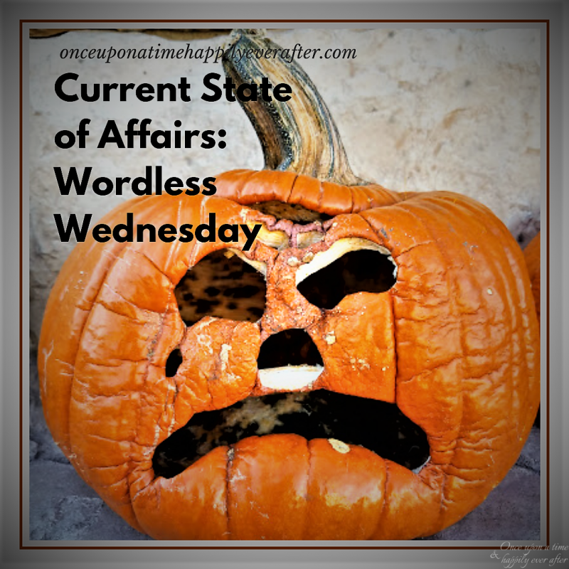Current State of Affairs:  Wordless Wednesday