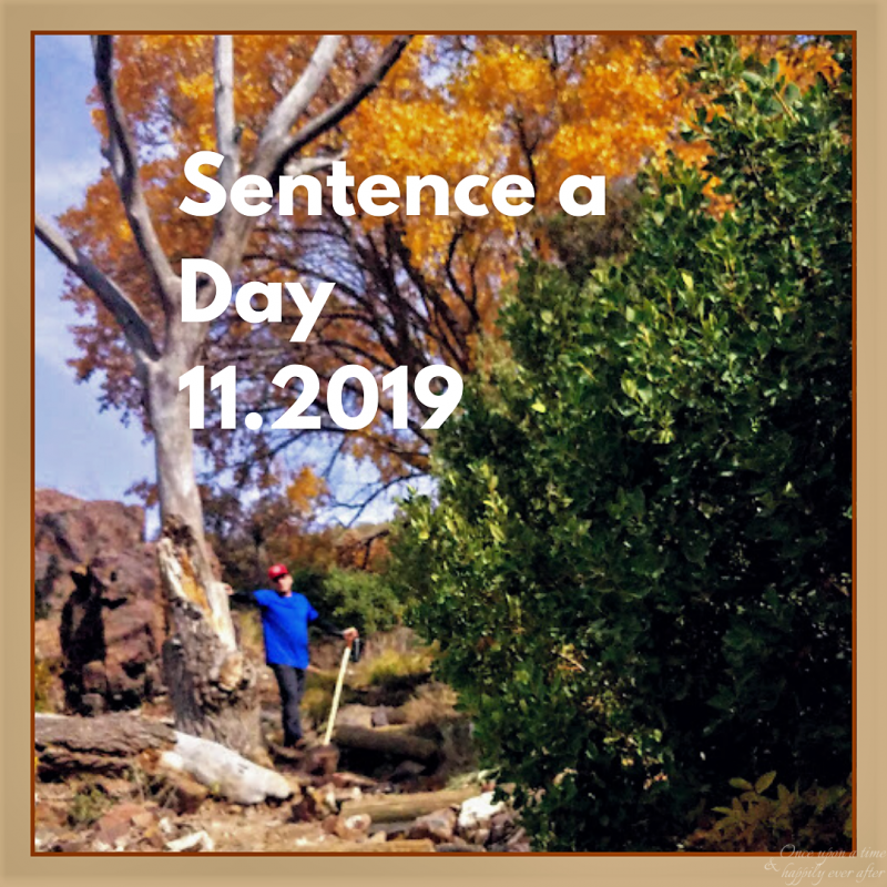 Sentence a Day, 11.2019