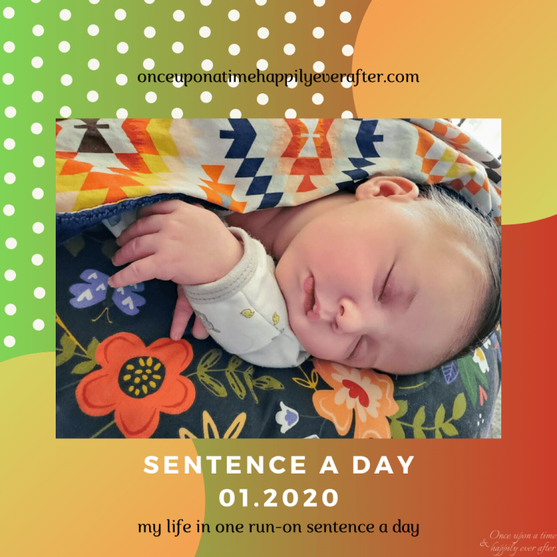 Sentence a Day, 01.2020