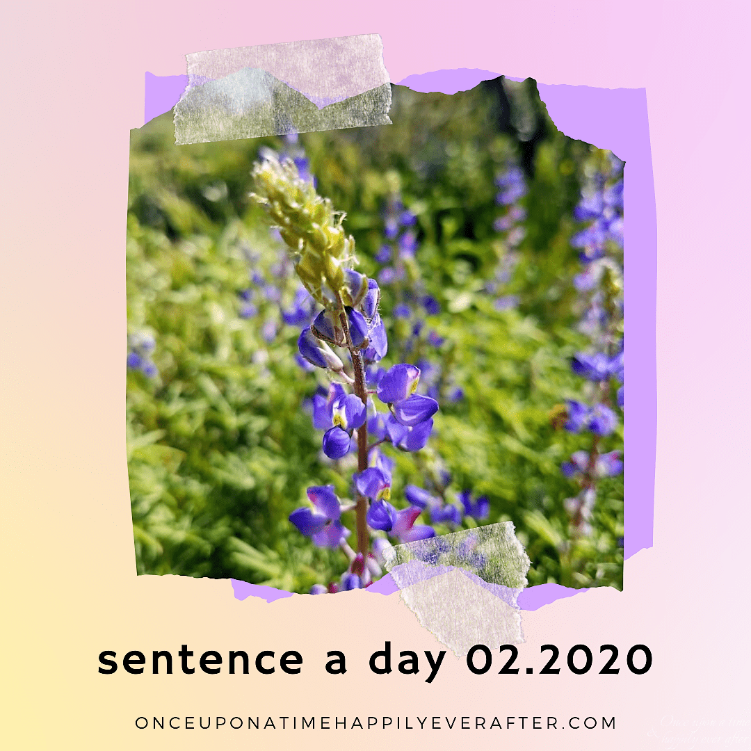 Sentence a Day, 02.2020