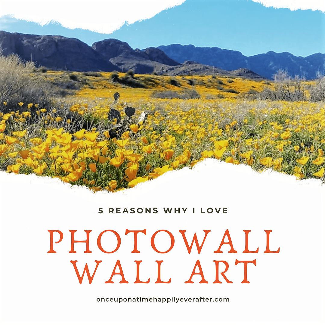 5 Reasons Why I Love Photowall Wall Art