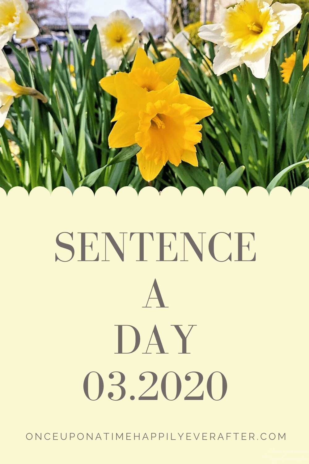 Sentence a Day, 03.2020