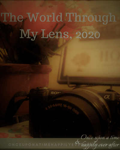 The World Through My Lens 07.2020