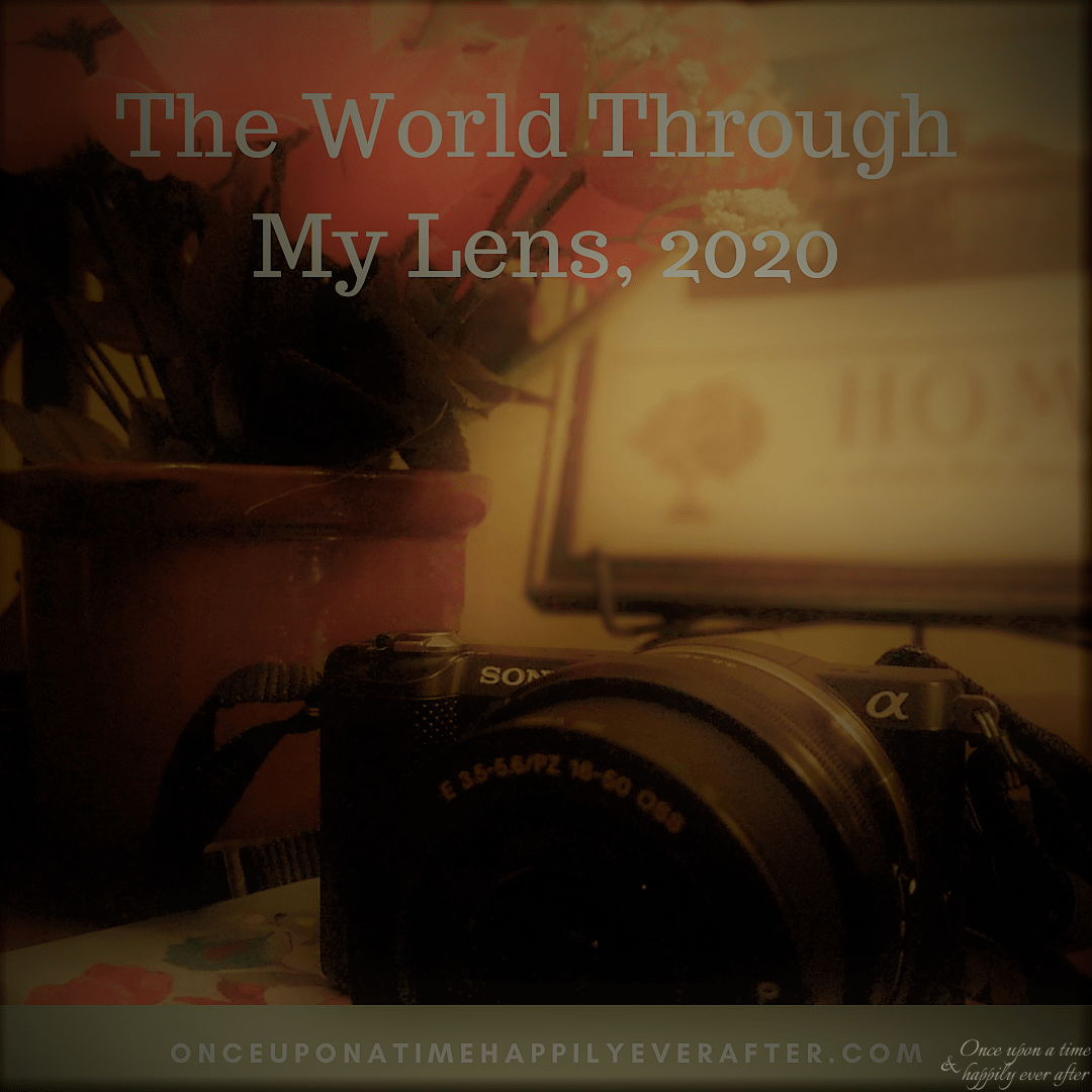 The World Through My Lens 07.2020