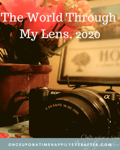 My Lens 08.2020 & SPSH