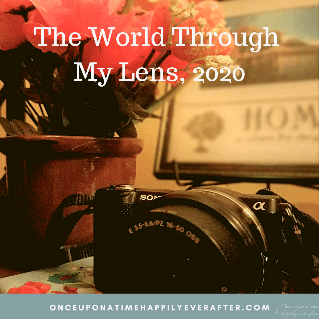 The World Through My Lens 12.2020