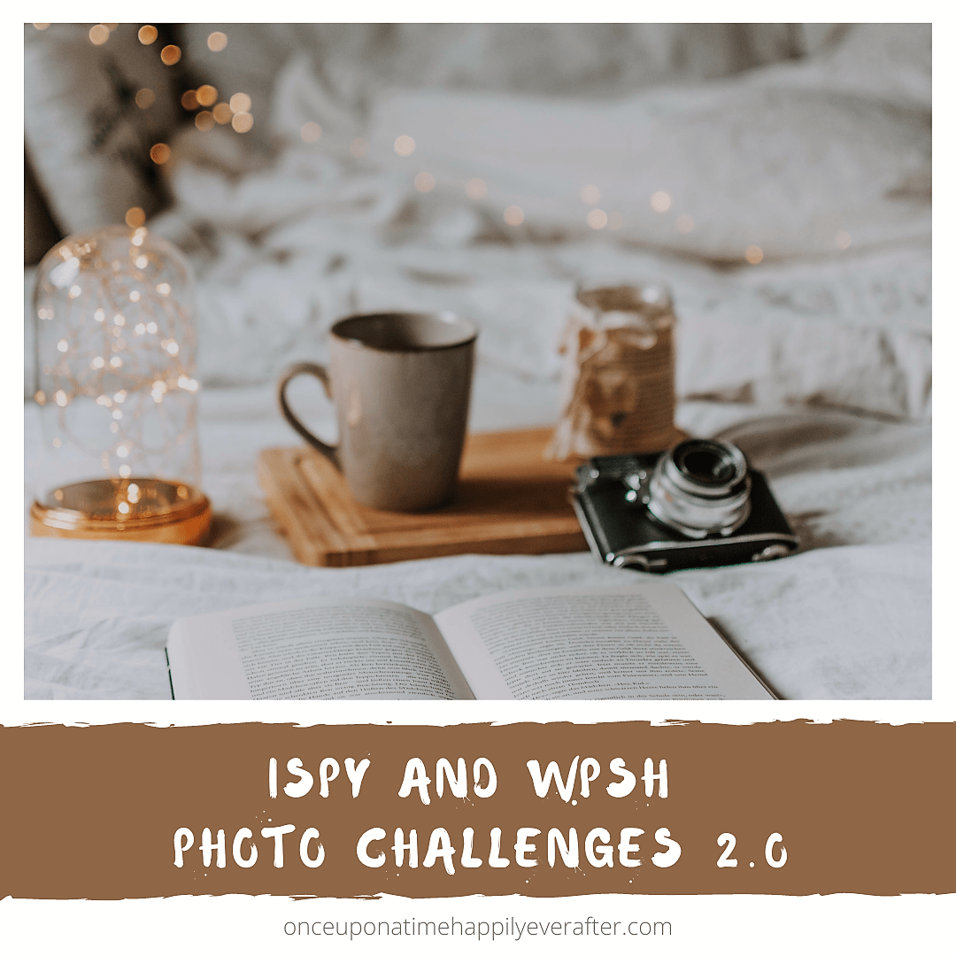 iSpy and WPSH Photo Challenges 2.0