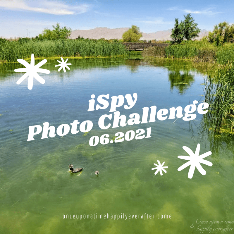 iSpy Photo Challenge 06.2021