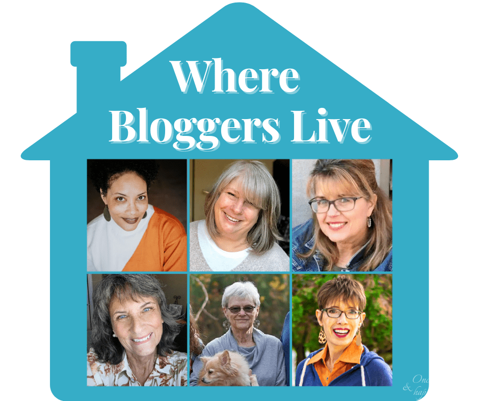 Where Bloggers Live 11.2021: One Woman's Junque