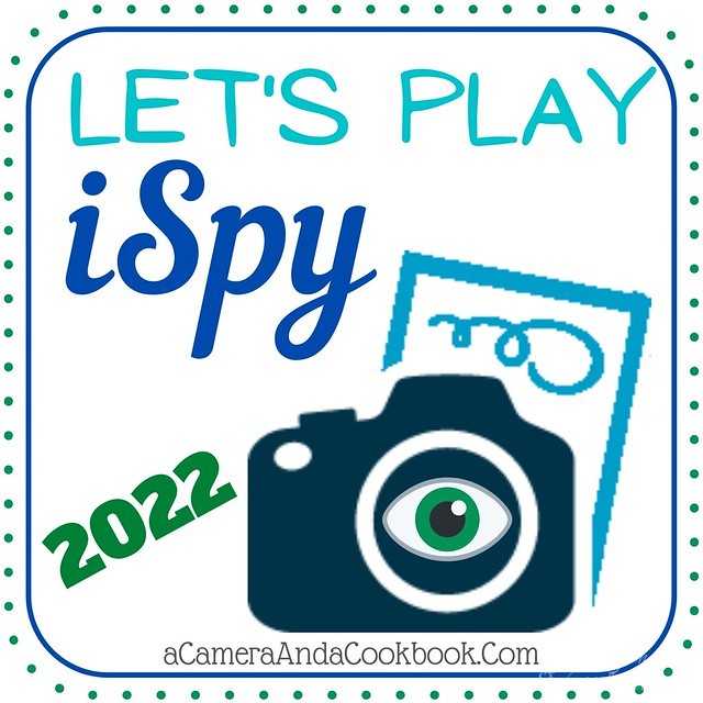 iSpy 2022