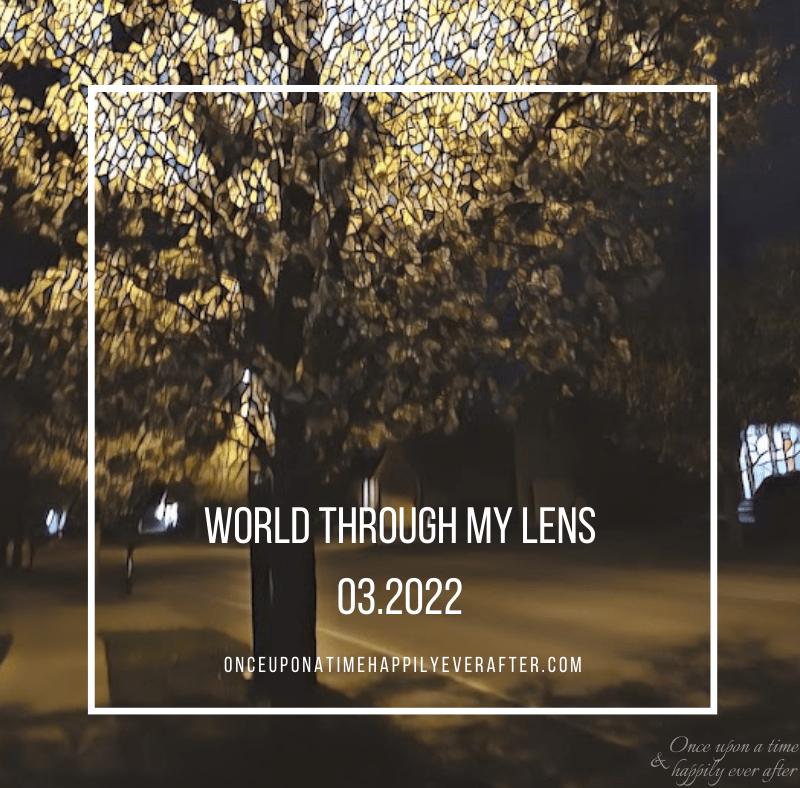 World Through My Lens 03.2022