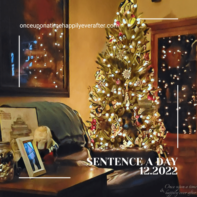 Sentence a Day 12.2022