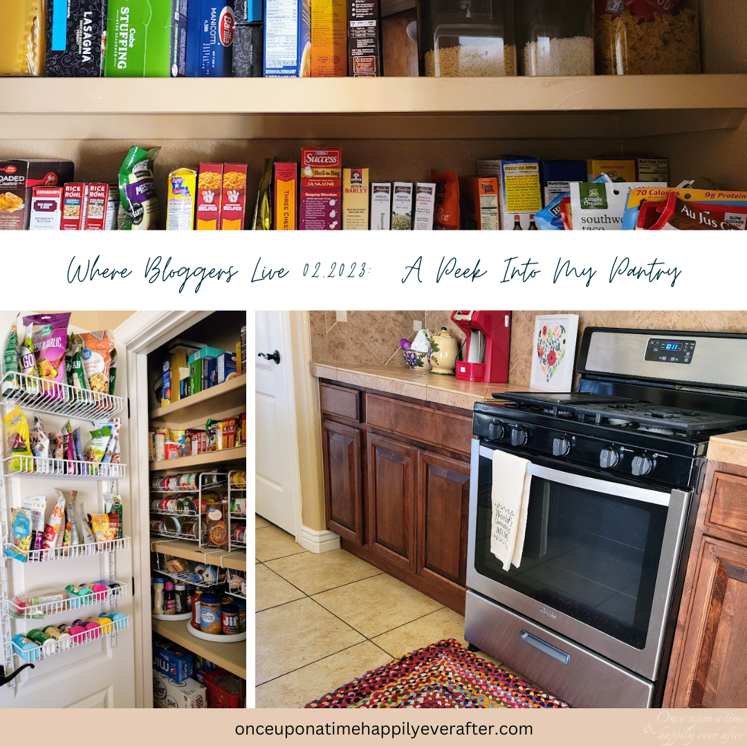 Where Bloggers Live 02.2023: a Peek into My Pantry