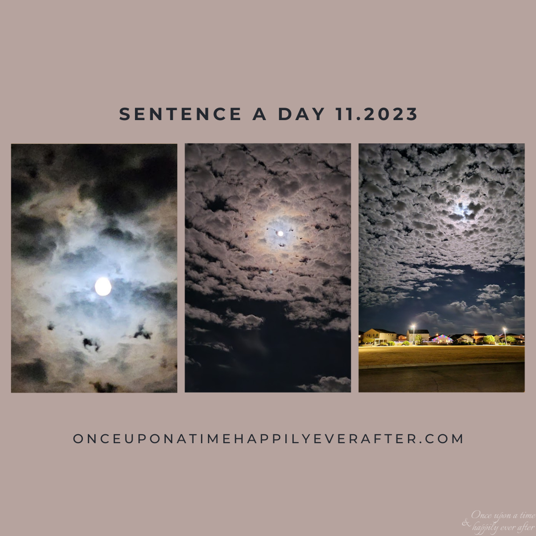 Sentence a Day, 11.2023