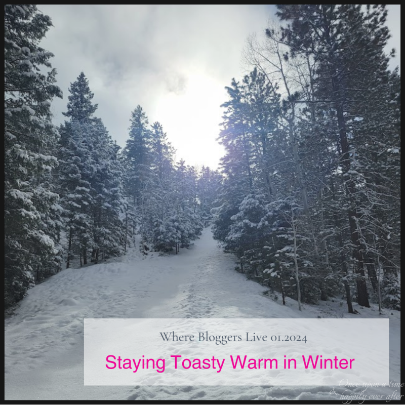 Where Bloggers Live 01.2024:  Staying Toasty Warm in Winter
