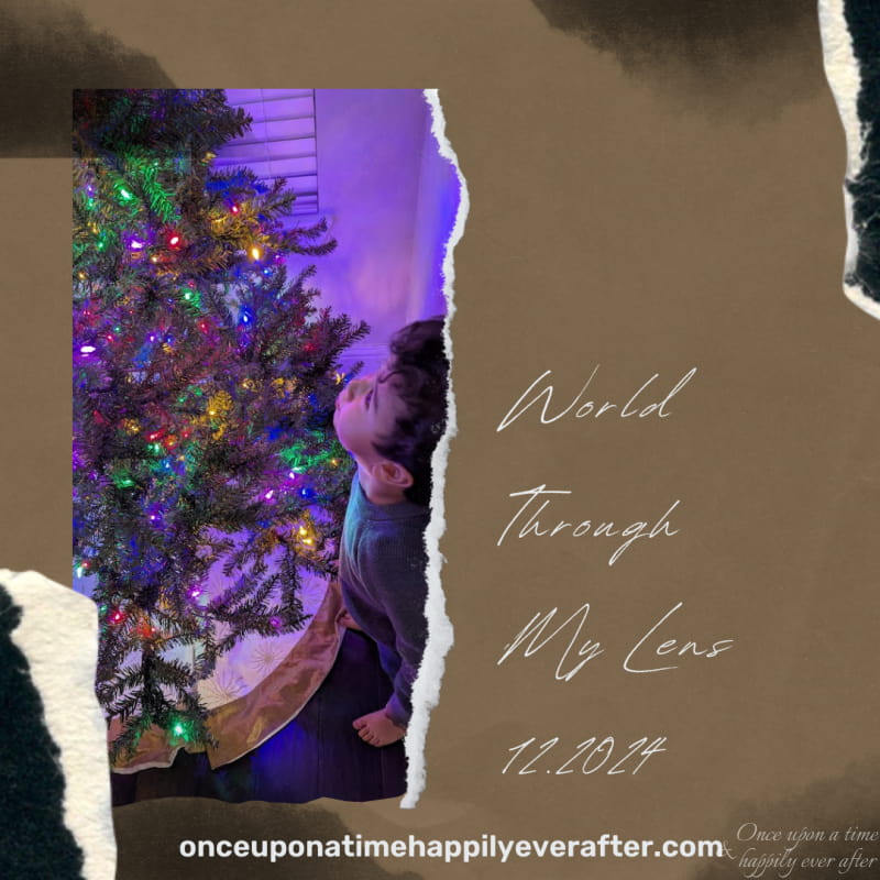 World Through My Lens 12.2024