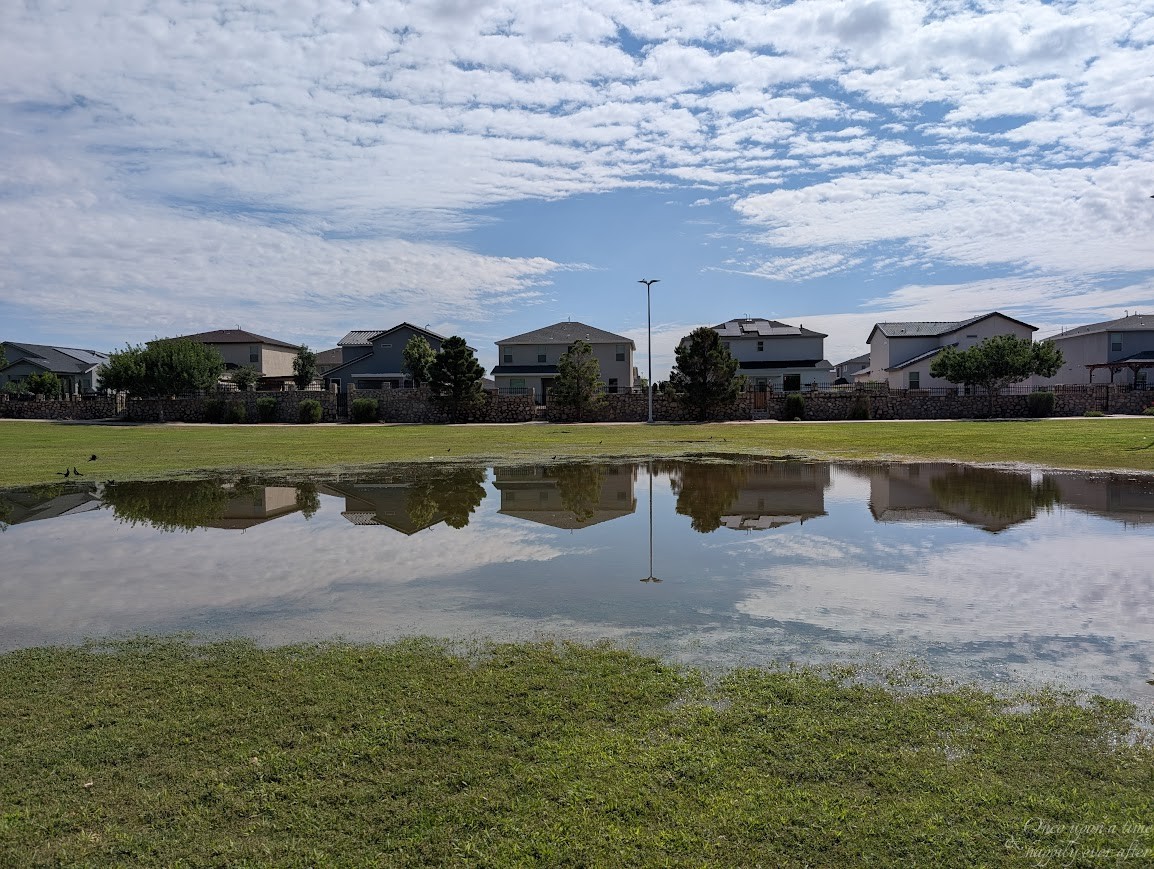 World Through My Lens 05.2025