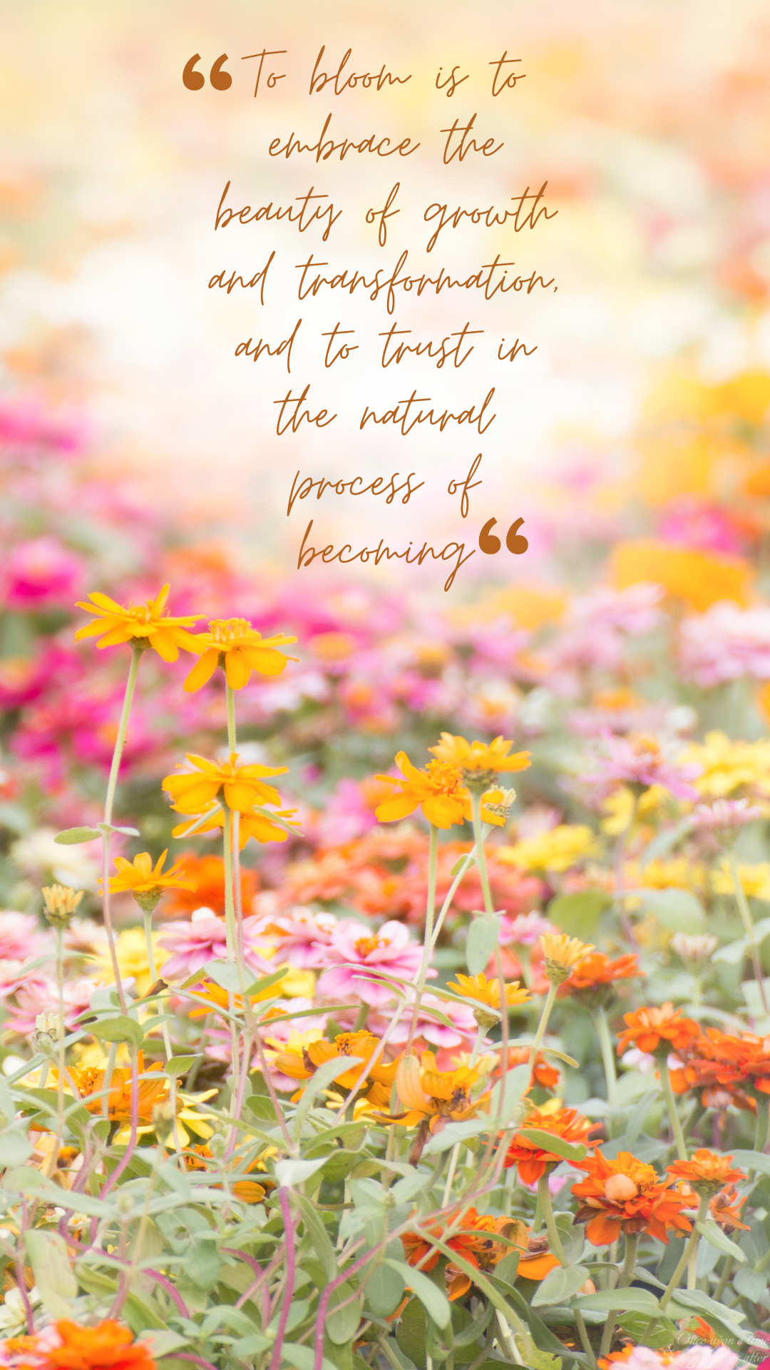 Tell Us About 06.2025: Blooming