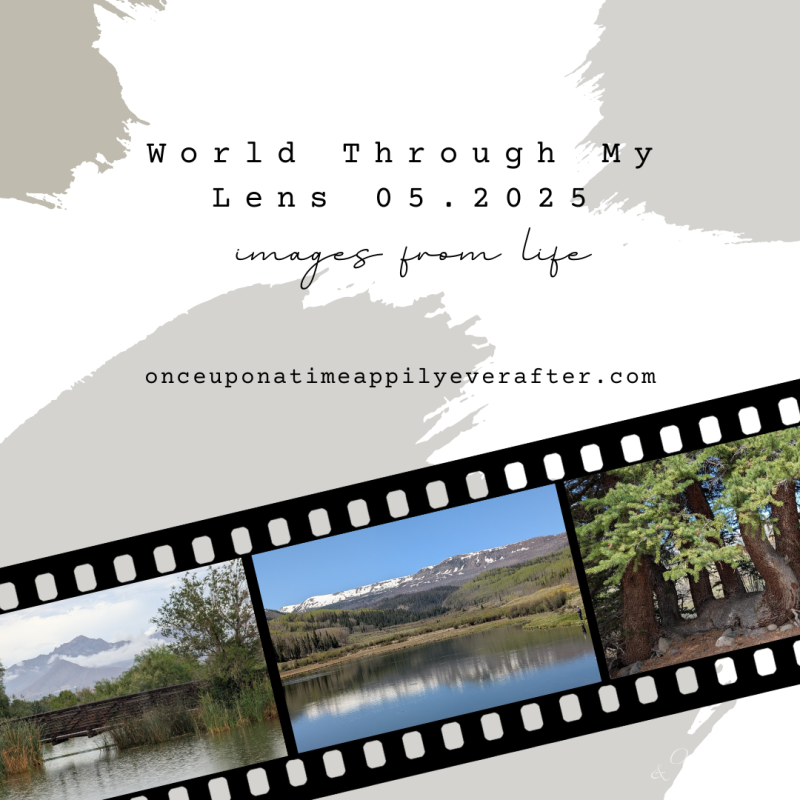World Through My Lens 05.2025