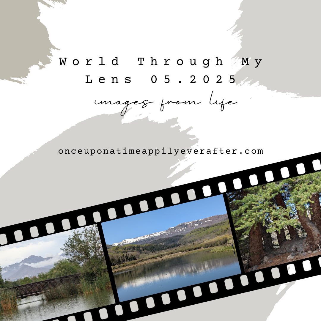 World Through My Lens 05.2025