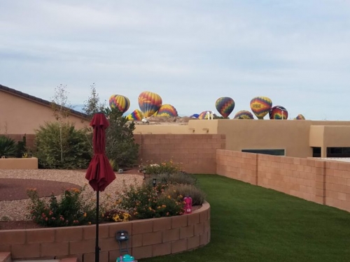 Balloons in the kids' backyard.